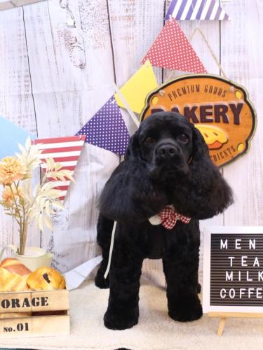 20240920そらくん